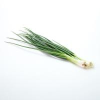 ราคา ต้นหอม สด สะอาด รับประกันคุณภาพ (10136811649)