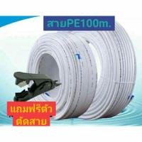 ราคา ท่อน้ำPE สายกรองน้ำ สายพ่นหมอกPE ขนาด1/4นิ้ว(2หุน) เส้นผ่านศูนย์กลาง6มม. ยาว100เมตร (4316319537)