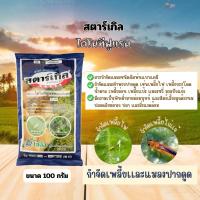 ราคา สตาร์เกิล (ไดโนทีฟูแรน dinotefuran) ขนาด 100 กรัม (29114596575)