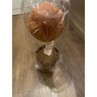 ราคา ตุ๊กตาเต้นได้ ตุ๊กตาอัดเสียง เห็ดพูดได้ มีเพลง เต้นได้ (49600972990)