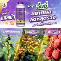 ราคา ปุ๋ยน้ำ ลิ้นจี่ แคลเซียม โบรอน สูตรเข้มข้น (แคลฟ่า 1ลิตร) ช่วยผสมเกสร เพิ่มการติดดอกและผล ลดหลุดร่วง (27980011912)