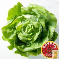 ราคา เมล็ดพืช-100/200ชิ้นต่อแพ็ค เสื้อ/เด็ก/seeds/ โปโล/ทานตะวัน/หมวก/ ซองต๊าป/สำลี/เมล็ดพืช/สร้อยข้อมือ/ YWE3 (19060072459)