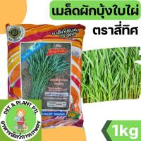 ราคา [1kg] เมล็ดพันธุ์ผักบุ้ง เมล็ดผักบุ้ง ใบไผ่ ผักบุ้ง 1 กก. (20383819475)