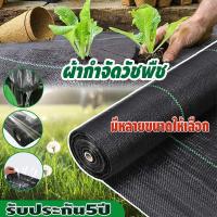 ราคา พลาสติกคลุมดิน ผ้าคลุมดิน ฆ่าหญ้า ผ้าคลุมหญ้า คลุมวัชพืช ผ้าคลุมดินกันวัชพืช กําจัดหญ้า พลาสติกคลุมดิน พลาสติกคลุมหญ้า (21586659851)