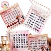 ราคา XIXI Self-Adhesive Curved Lash Clusters, No-Glue Natural Deer Eye Lashes, ง่ายต่อการทาและลบ, ขนตาปลอมสําหรับผู้เริ่มต้น (25046541714)
