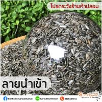 ราคา เมล็ดลายนำเข้า เมล็ดต้นอ่อนทานตะวัน (ถุงละ 1 กิโลกรัม) เมล็ดทานตะวันงอก เพาะต้นอ่อน (14094520049)