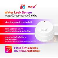 ราคา TrueX Smart Water Leak Sensor เซ็นเซอร์อัจฉริยะตรวจจับน้ำรั่วไหล (19968790499)