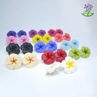 ราคา ต่างหูดินปั้นดอกลีลาวดี เครื่องประดับแฟชั่น Frangipani flower clay handmade earrings accessories (3133270977)