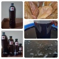 ราคา น้ำหมักใบหูกวาง (1.5ลิตร)สูตรเข้มข้น ผสมเกลือสมุทร สำหรับปลาสวยงาม ปลากัด (29873409107)