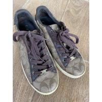 ราคา ร้องเท้าผ้าใบ coach ของแท้ สีน้ำตาล (20528174645)