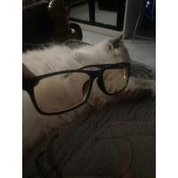 ราคา แว่นตาophtus สุดคุลๆ (25366998859)