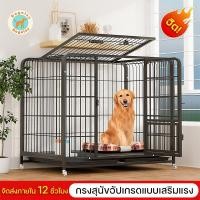 ราคา Dogelsy กรงสุนัข กรงหมา บ้านหมา เหมาะสำหรับสุนัข แมว และกระต่าย คอกหมา กรงหมาใหญ่ กรงสัตว์เลี้ยง (19781589819)
