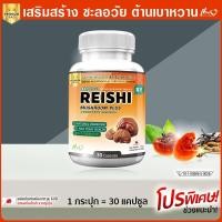 ราคา ส่งฟรี! ส่งไว เห็ดหลินจือสกัดเข้มข้น เห็ดหลินจือผสมถั่งเช่าริอิชิ ซื้อ 1 กระปุก (30 แคปซูล) (7579570193)