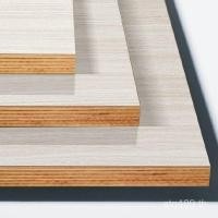 ราคา เฟอร์นิเจอร์ Ecologic ไม้เนื้อแข็ง Grain ฟรีไม้อัดตู้เสื้อผ้า Multi-Layer แผง 18mmE0 ตกแต่งตู้ Xiangtian Veneer ในร่ม W2QP (43776796744)