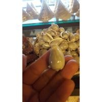 ราคา เปลือกหอยเบี้ยคองแครงเทา เปลือกหอยหายาก เปลือกหอยสะสม (7966630870)