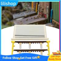ราคา Lilishop Queen Bee การเลี้ยงชุด Grafting สำหรับการเลี้ยงผึ้งระบบการรักษาเซลล์ถ้วยเครื่องมือผู้เลี้ยงผึ้งการเลี้ยงผึ้ง (55551037231)