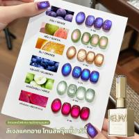 ราคา สีเจลทาเล็บแคทอาย เจลทาเล็บแคทอาย โทนสีผลไม้ 6 สี สีสดใส น่ารัก ติดทน ทาง่าย (24797138483)