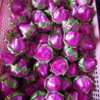 ราคา เหรียญโปรยทาน | ดอกบัวหลวง | แบบไม่มีเหรียญ (50ชิ้น)​ (6205993812)