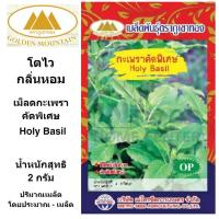 ราคา ภูเขาทอง เมล็ดกระเพรา คัดพิเศษ เมล็ดกระเพรา เม็ดกระเพรา เมล็ดพันธุ์พืช ขนาด 2 กรัม (9566716302)