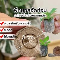 ราคา พีทมอสอัดก้อน (10 ก้อน/แพ็ค) ขนาด 3 ซม. สะดวก สะอาด ใช้งานง่าย (28786674246)