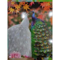 ราคา เปล่า นกยูงคู่ ดอกโบตั๋น ขนาด 16x20 นิ้ว (40x50ซม.) ภาพคมชัด ไม่แตกเบลอ สีสวย สีสด (9961683274)