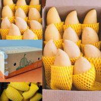 ราคา มะม่วงน้ำดอกไม้ มะม่วงน้ำดอกไม้สีทอง มะม่วงน้ำดอกไม้สุก ราคาถูก Mango NamDokMai มะม่วงน้ำดอกไม้เกรดดี มะม่วง (5042660839)