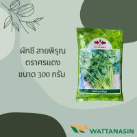 ราคา ผักชีสายพิรุณ 300 กรัม ตราศรแดง (10365471238)