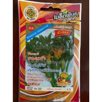 ราคา เมล็ดฟักทอง 10 แถม 1 ยอดฟักทอง พันธุ์ยอดเเม้ว pumpkin เมล็ดพันธุ์ผัก (15984960384)