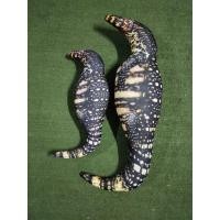 ราคา ตัวเงินตัวทอง ราคาโรงงาน (23336254263)