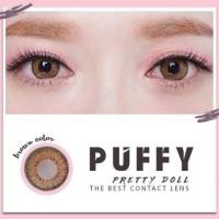 ราคา Puffy ๑ ( Nudy , Opal ) brown gray Contactlens บิ๊กอาย คอนแทคเลนส์ (24690914660)
