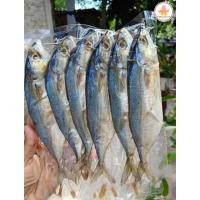 ราคา ปลาทูมัน เนื้อแน่น เนื้อมัน หอม อร่อย เค็มน้อย (42970954767)