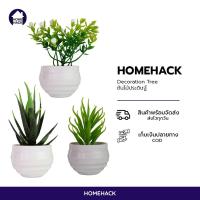 ราคา พร้อมส่ง Homehack ต้นไม้ปลอม ต้นไม้ประดิษฐ์ แต่งห้อง (10248019341)