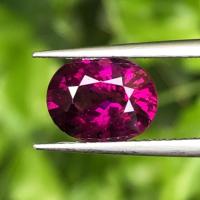ราคา พลอย โรโดไลต์ กาเน็ท Rhodolite Garnet 2.56 กะรัต Cts. (23813738508)