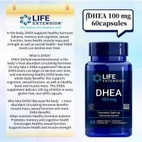 ราคา Spot American Life Extension DHEA 100 mg 60 capsules (44702043247)
