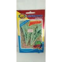 ราคา ชุนฉ่าย 333 (ตองสาม) (24123464145)