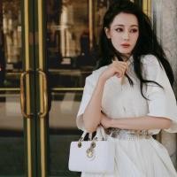 ราคา Dior คลาสสิค ขนาดเล็ก Lady D-Joy กระเป๋าถือแนวนอน กระเป๋าสะพาย ของแท้ (29627472761)