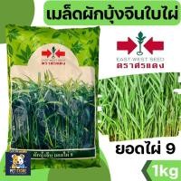 ราคา SN [ศรแดง] เมล็ดผักบุ้งใบไผ่ เมล็ดพันธุ์ผักบุ้ง ศรแดง เมล็ดผักบุ้ง ปลูกง่าย โตไว 1 กก. (26187237847)