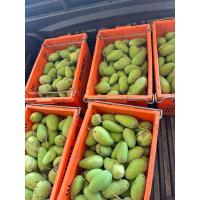 ราคา มะม่วงโชคอนันต์ ออแกนิคไม่ฉีดยา เน้นเนื้อไม่เน้นผิว (28529107333)