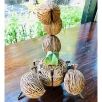 ราคา กระถางปลูกต้นไม้เล็ก ลูกตีนเป็ด แมงป่อง (1478654490)