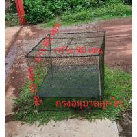 ราคา กรงอนุบาลไก่ กรงไก่ กรงไก่แจ้ กรงเลี้ยงนก กรงเลี้ยงกระต่าย กรงเลี้ยงสัตว์ กว้าง 80 เซน ยาว80เซนสูง70เซนใช้งานง่ายแข็งแรง (18580713525)