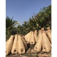 ราคา ตุ้มไม้ไฝ่10ลูก550 บาท (14485267729)