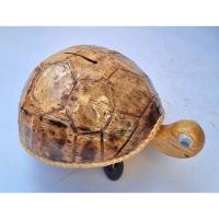 ราคา เต่าออมสินจัมโบ้ ยาว 19 ซม. สูง 11.5 ซม. ทำด้วยกะลามะพร้าว งาน Handmade สินค้า OTOP สำหรับฝีกออมทรัพย์/ประดับตกแต่ง (57901386216)