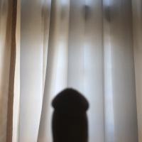 ราคา จู๋กล้วย! พวงกุญแจของเล่น (171547504)