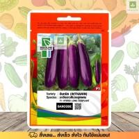 ราคา SL มะเขือยาว ม่วง พันธุ์อินทนิล ลูกผสม เมล็ดพันธุ์มะเขือยาว มะเขือยาวม่วง ซีดไลน์ (14097474768)