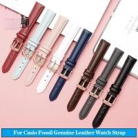 ราคา ผู้หญิงสายนาฬิกาหนังแท้สําหรับ Casio Citizen Fossil Plain Rossini DW Armani นาฬิกา Folli สุภาพสตรีสร้อยข้อมือสีฟ้าสีชมพูสีน้ําตาล 14 มม.16 มม.18 มม.20 มม.สร้อยข้อมือ Cowhide XG (49750316313)