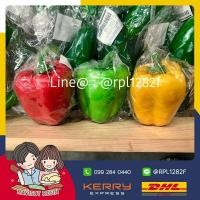 ราคา ️ เก็บเงินปลายทาง | โค้ด NEWRAVI0002 ลด 80฿ | พริกหยวกปลอม โมเดลผักปลอม ผลไม้ปลอม ราคาถูก (1398532422)