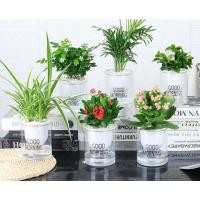 ราคา กระถางต้นไม้ แบบใส 2 ชั้น เก็บน้ำ และรดน้ำได้อัตโนมัติ 5009 มี 2 แบบ (3961654038)