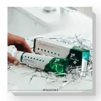 ราคา American Opalescence Fresh Breath Cleaning Anti-Cavity Whitening Mint Flavor Toothpaste for Strong Teeth (43561478253)