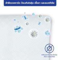 ราคา หลับสนิท PATEX หมอนแก้ปวดคอ ปวดหลัง หมอนยางพารา แท้ 100% รุ่น Backrest Pressure Relief Contour Pillow – M size (26974915788)