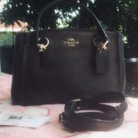 ราคา Coach MINI CHRISTIE CARRYALL IN SIGNATURE (7249544463)